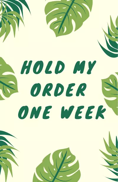 plant/Order Will Ship Monday After Hold is Purchased-0-thumbnail