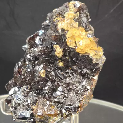 plant/Sphalerite w calcite from Elmwood Mine Tennessee-1-thumbnail