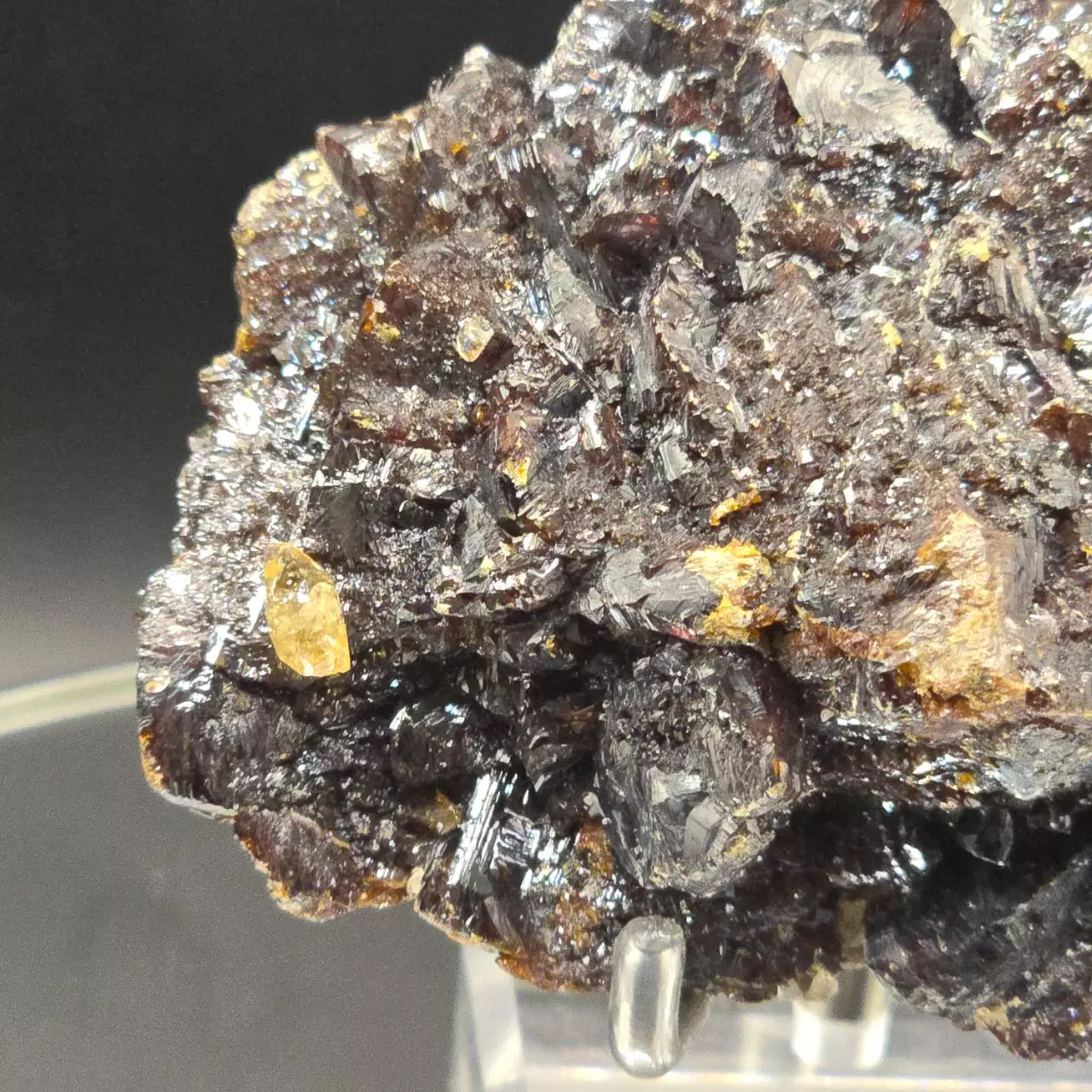 plant/Sphalerite w calcite from Elmwood Mine Tennessee-1