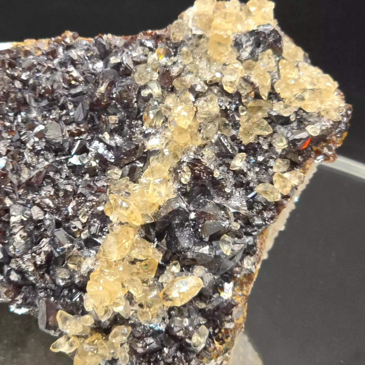plant/Sphalerite w calcite from Elmwood Mine Tennessee-1