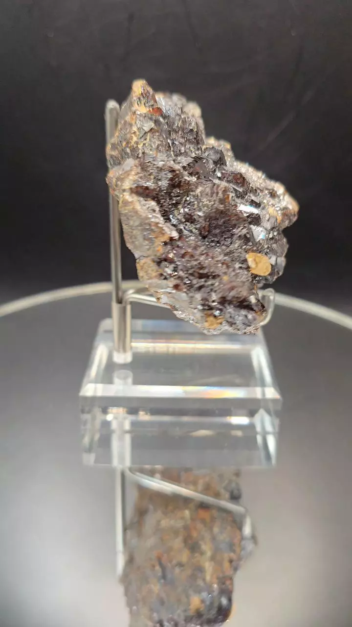 plant/Sphalerite w calcite from Elmwood Mine Tennessee-2
