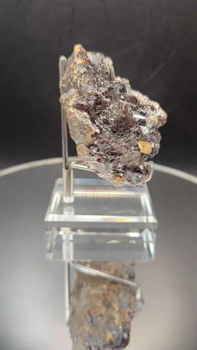 plant/Sphalerite w calcite from Elmwood Mine Tennessee-2-thumbnail