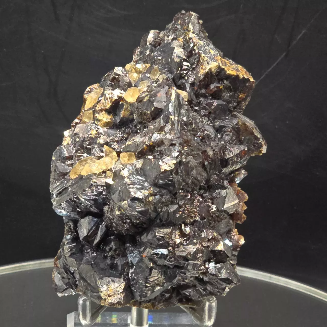 plant/Sphalerite w calcite from Elmwood Mine Tennessee-0