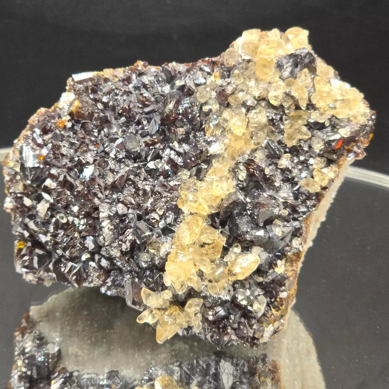 plant/Sphalerite w calcite from Elmwood Mine Tennessee-0