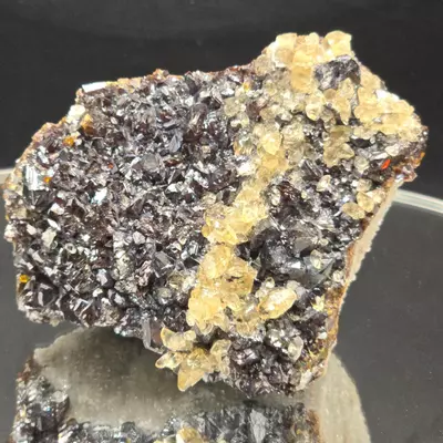 plant/Sphalerite w calcite from Elmwood Mine Tennessee-0-thumbnail