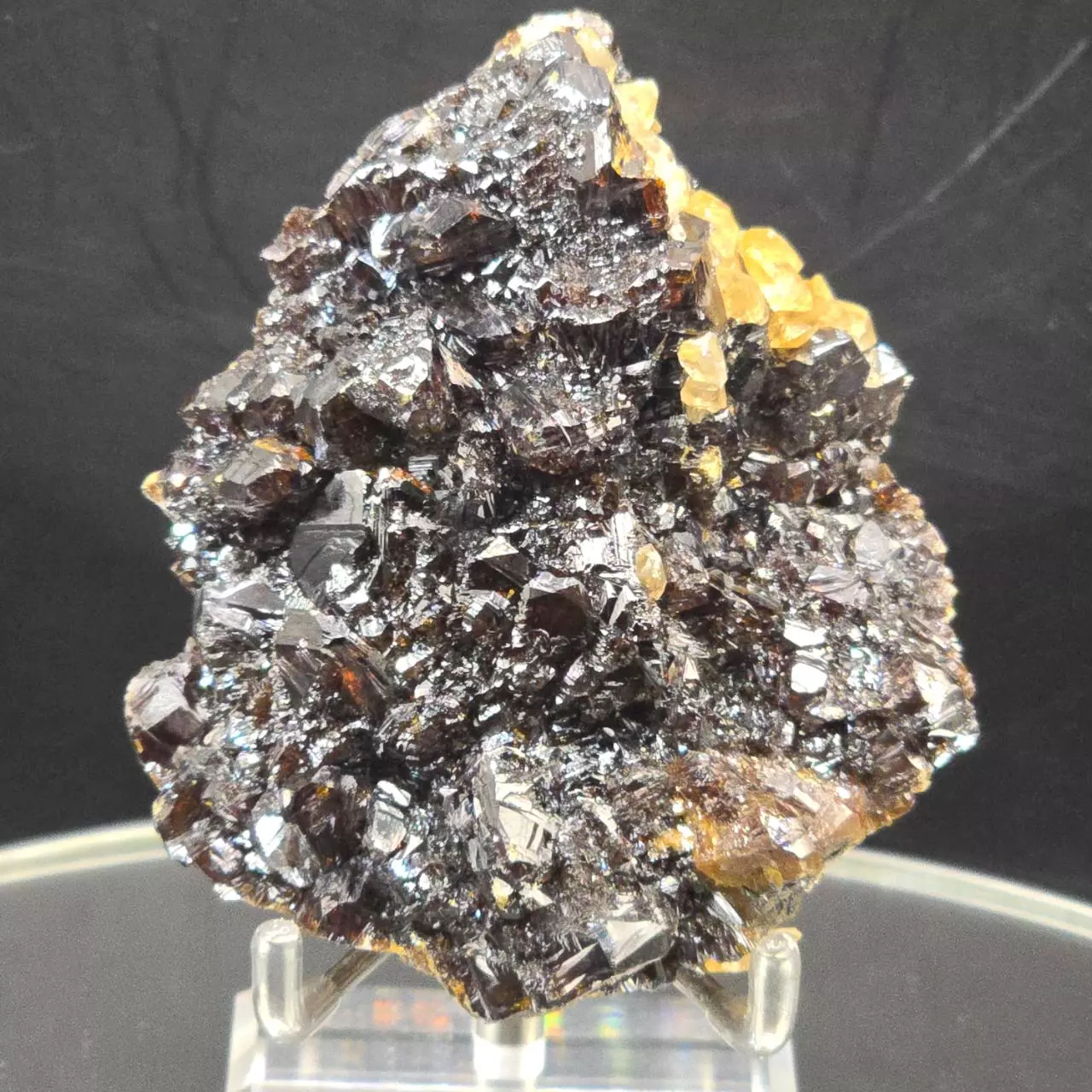 plant/Sphalerite w calcite from Elmwood Mine Tennessee-0