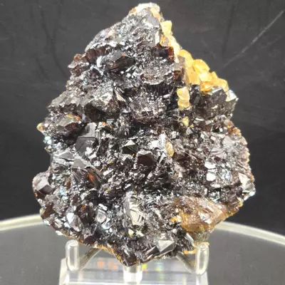 plant/Sphalerite w calcite from Elmwood Mine Tennessee-0-thumbnail