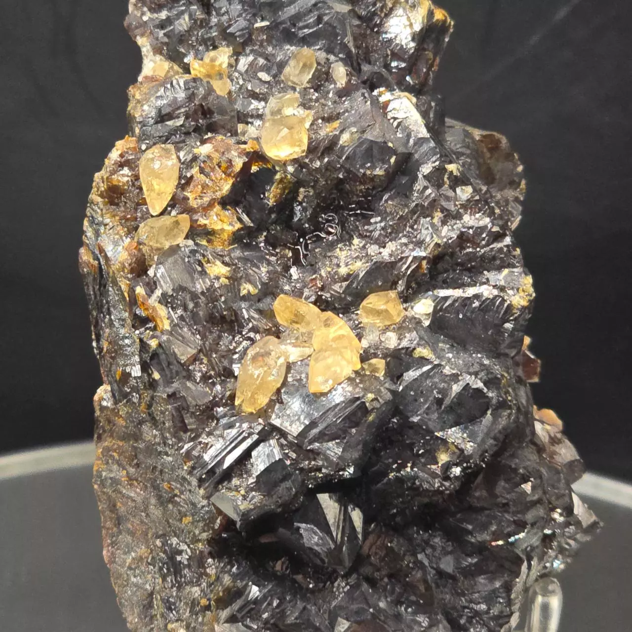 plant/Sphalerite w calcite from Elmwood Mine Tennessee-1
