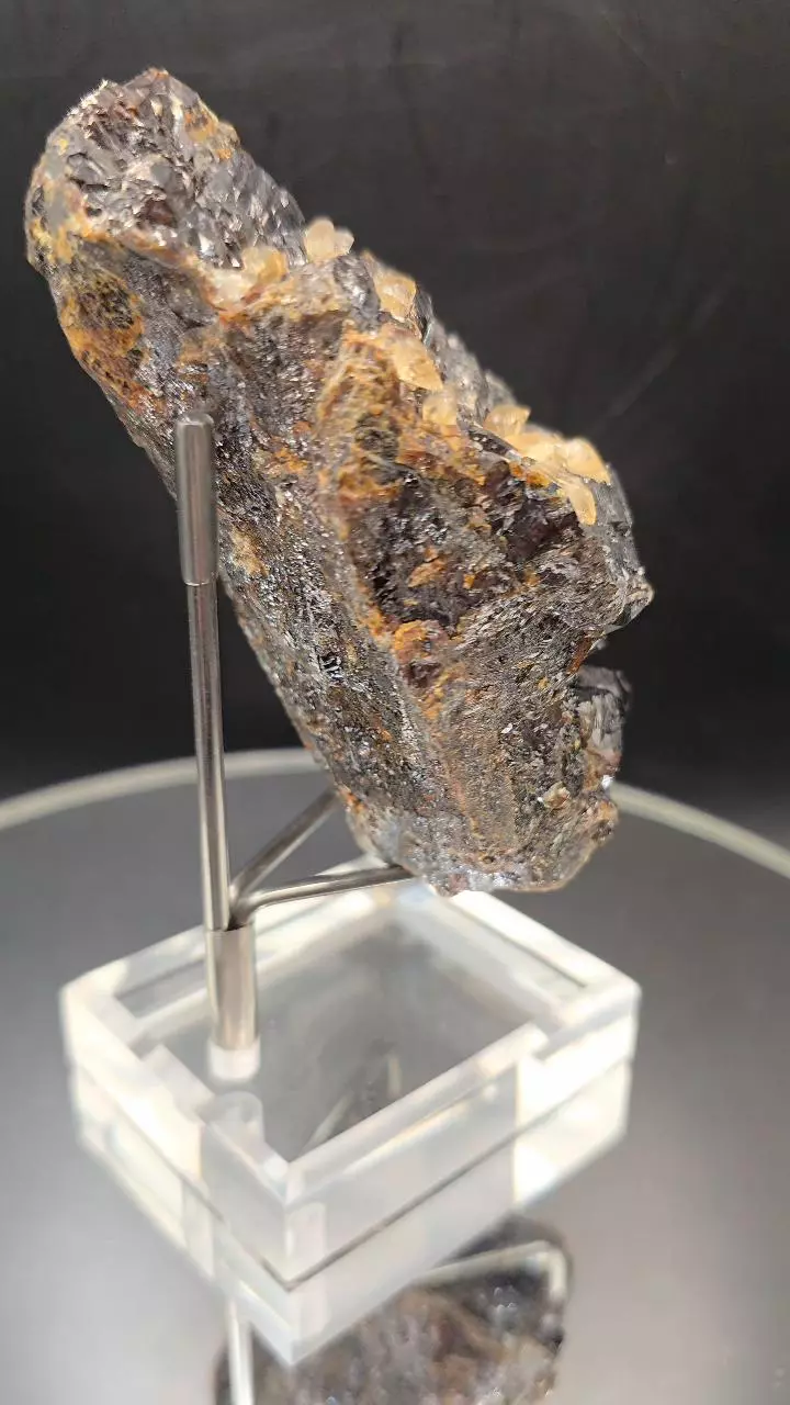 plant/Sphalerite w calcite from Elmwood Mine Tennessee-2