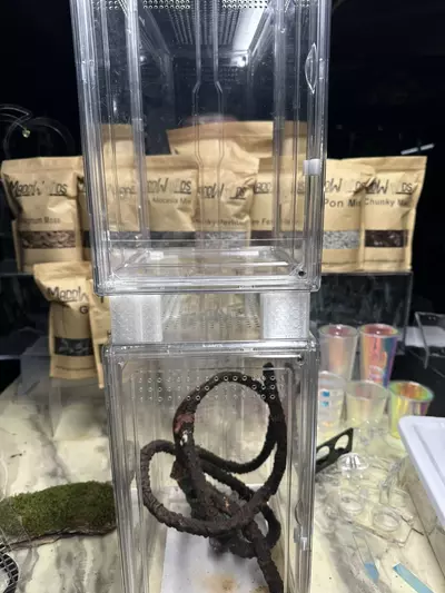 plant/Stackable Enclosure Spacer Bars-0-thumbnail