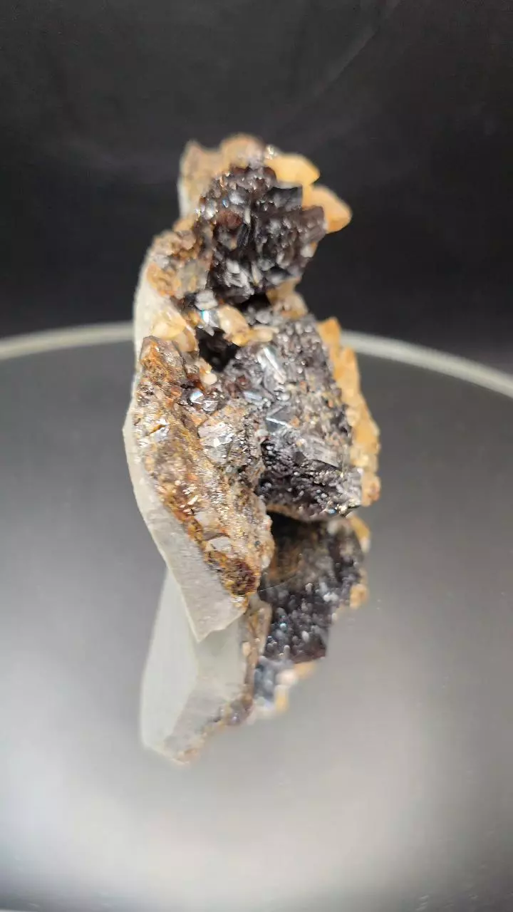plant/Sphalerite w calcite from Elmwood Mine Tennessee-2