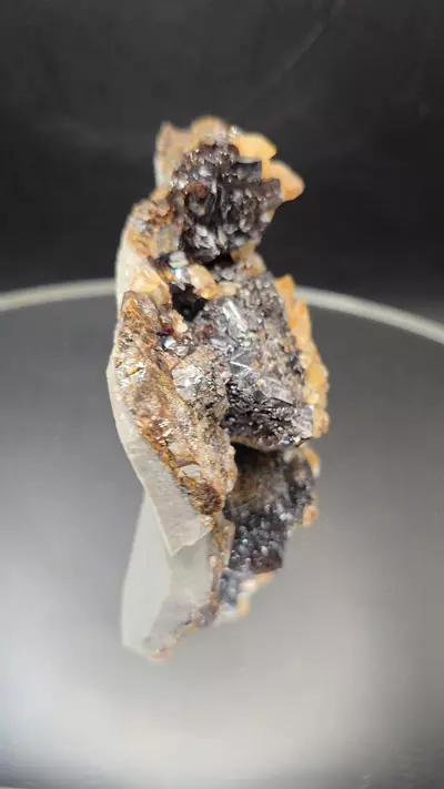 plant/Sphalerite w calcite from Elmwood Mine Tennessee-2-thumbnail