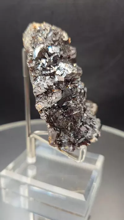 plant/Sphalerite w calcite from Elmwood Mine Tennessee-3-thumbnail