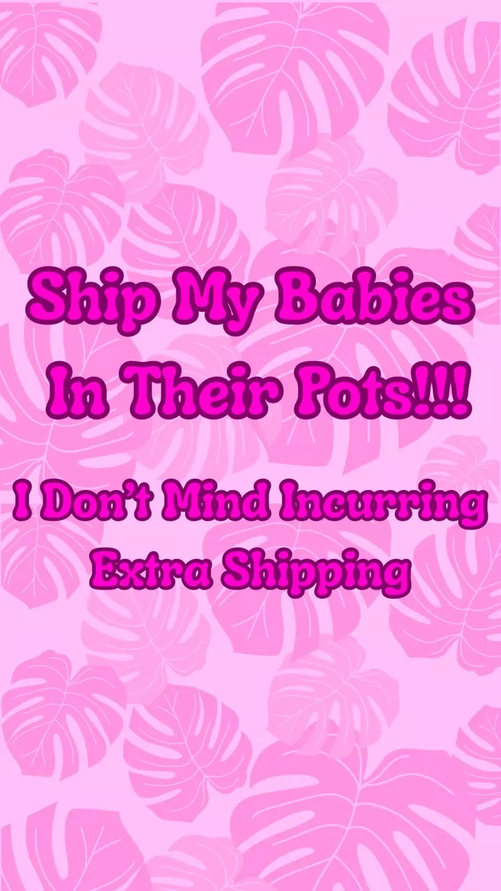 free_shipping/Ship ‘Em in POTS-0