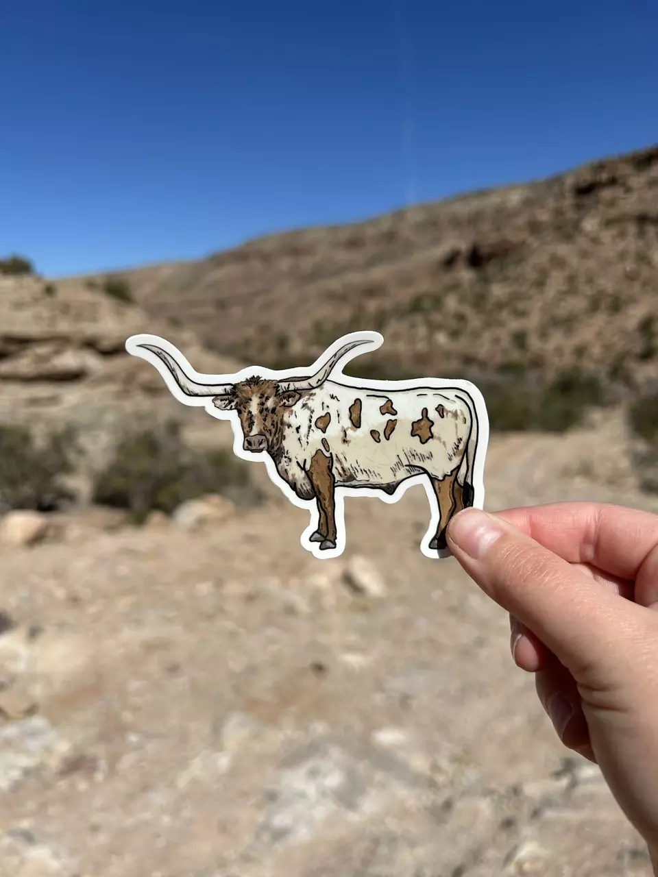 plant/Longhorn Stickers-0
