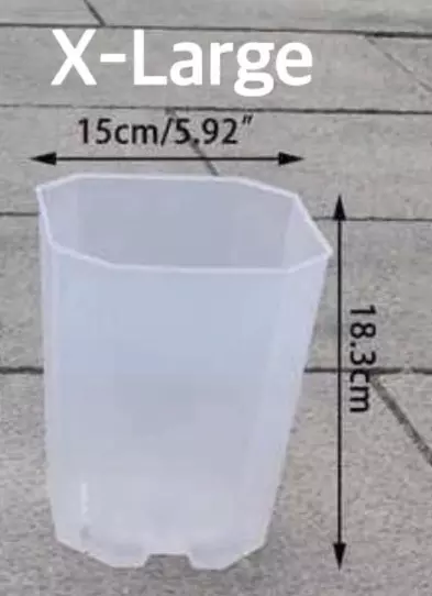 plant/X-Large Square Pot-0