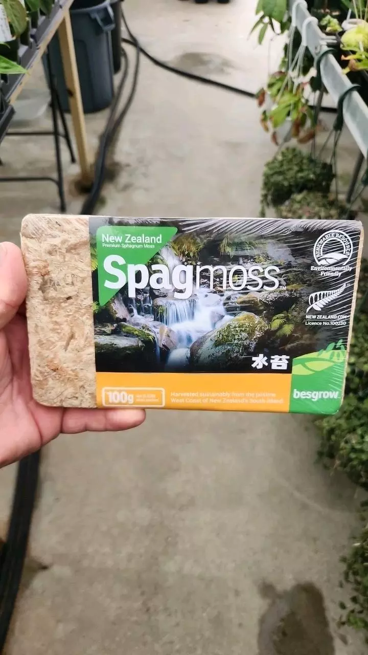 plant/100g New Zealand Spagmoss-0