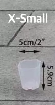 plant/X Small Square pot x 10-0