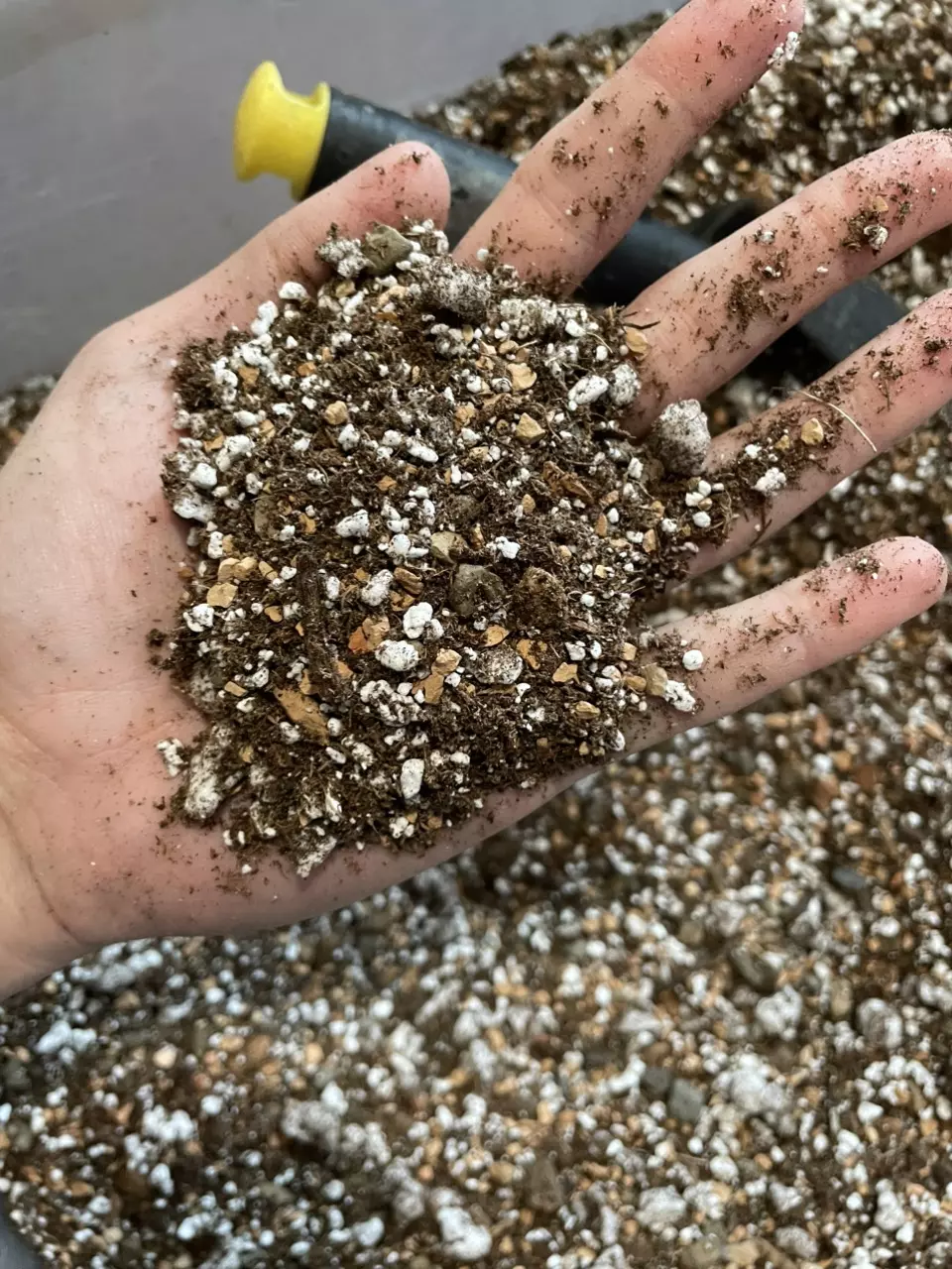 plant/1 Gallon Cactus Soil Mix-0