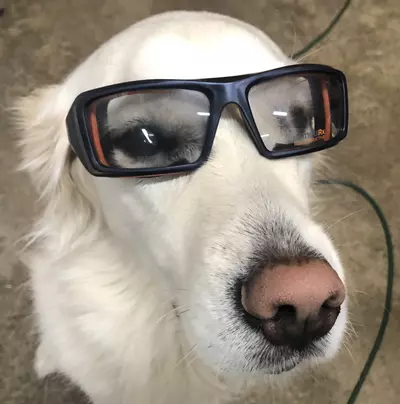 plant/Carnivorous Plant Mystery Box-0-thumbnail