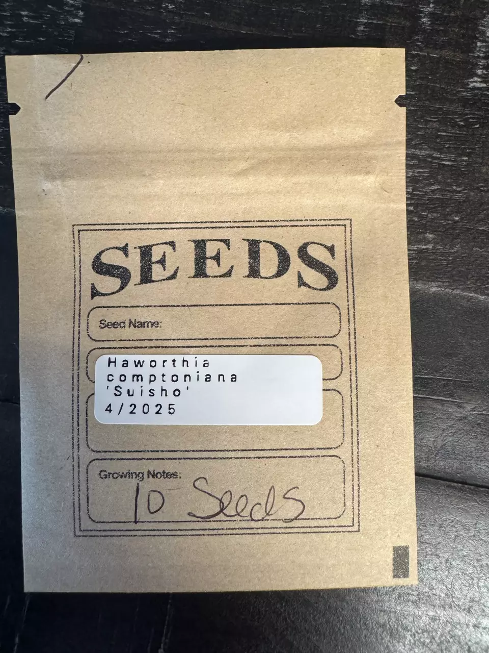 plant/10 - SEEDS Haworthia comptoniana 'Suisho'-3