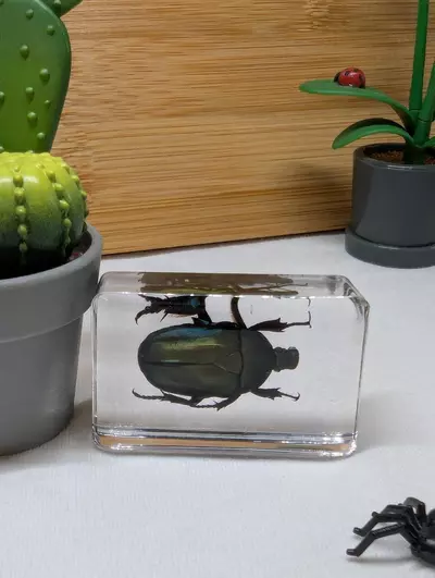 plant/Bugs in resin 🪲🕷️🦗🐜🪳🪰🦟 *You pick*-6-thumbnail