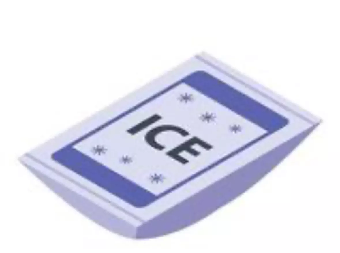 free_shipping/Ice Pack-0
