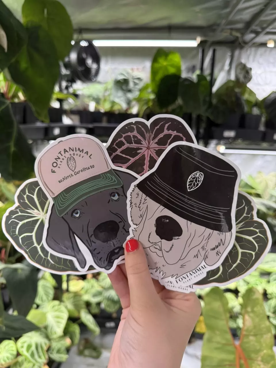 free_shipping/STICKER PACK (6)-0