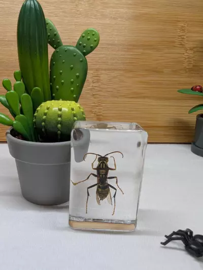 plant/Bugs in resin 🪲🕷️🦗🐜🪳🪰🦟 *You pick*-5-thumbnail