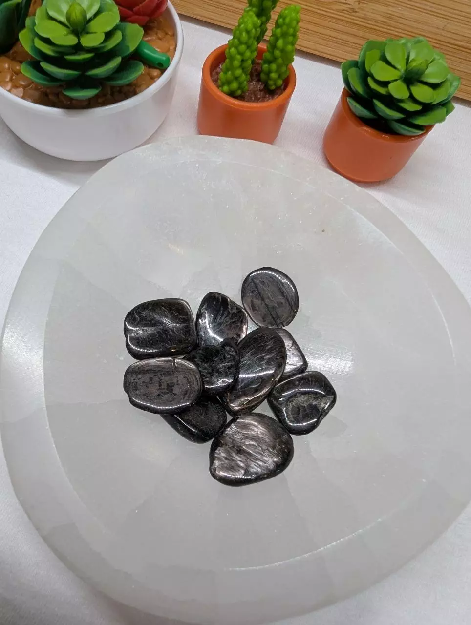 plant/Hypersthene chip-0