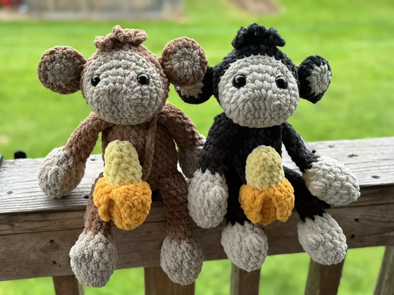 plant/Meet Marcel Senior-0