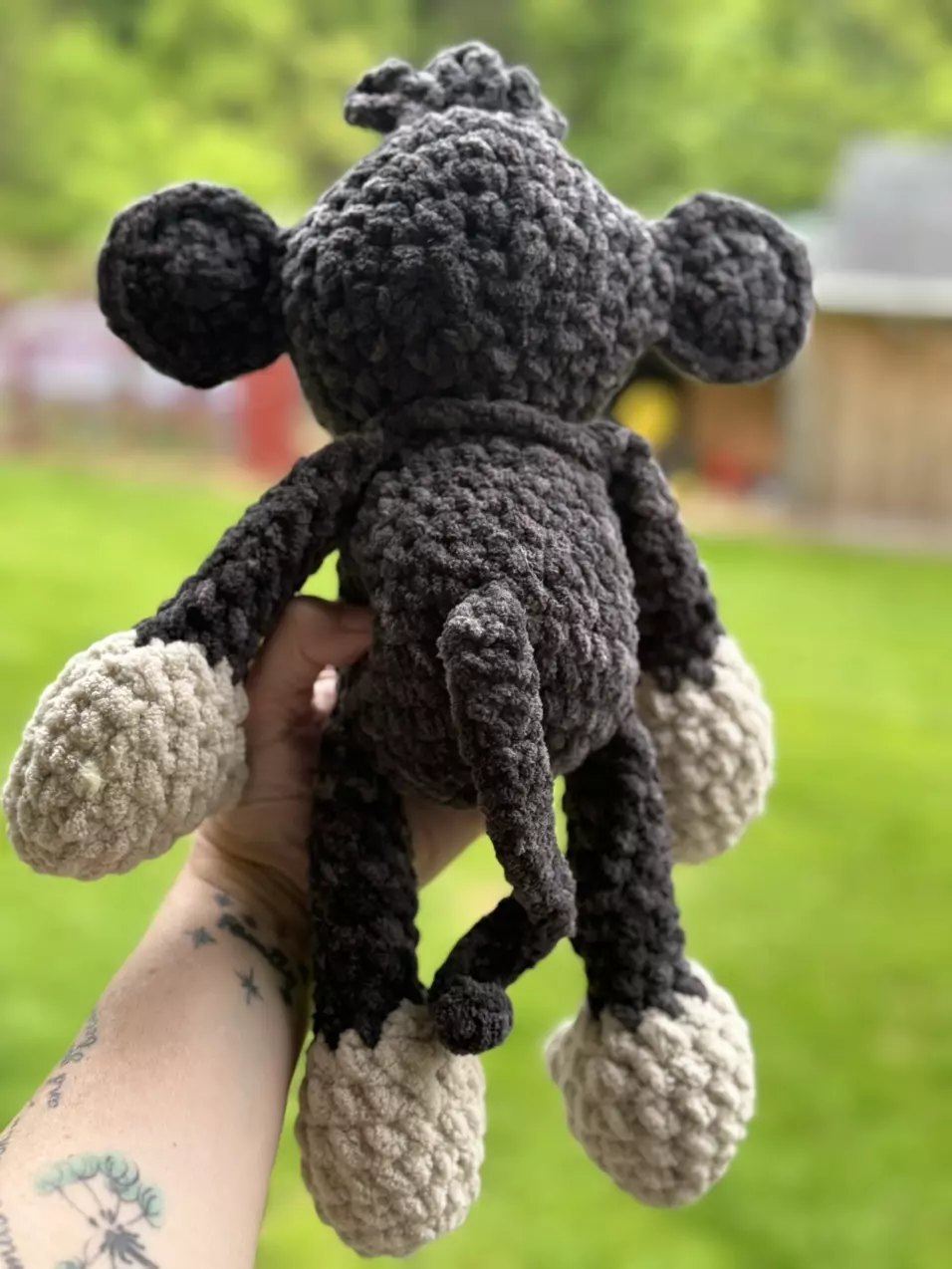 plant/Meet Marcel Senior-4