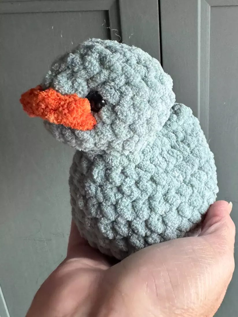 plant/Crochet Duck - Blue Green-0