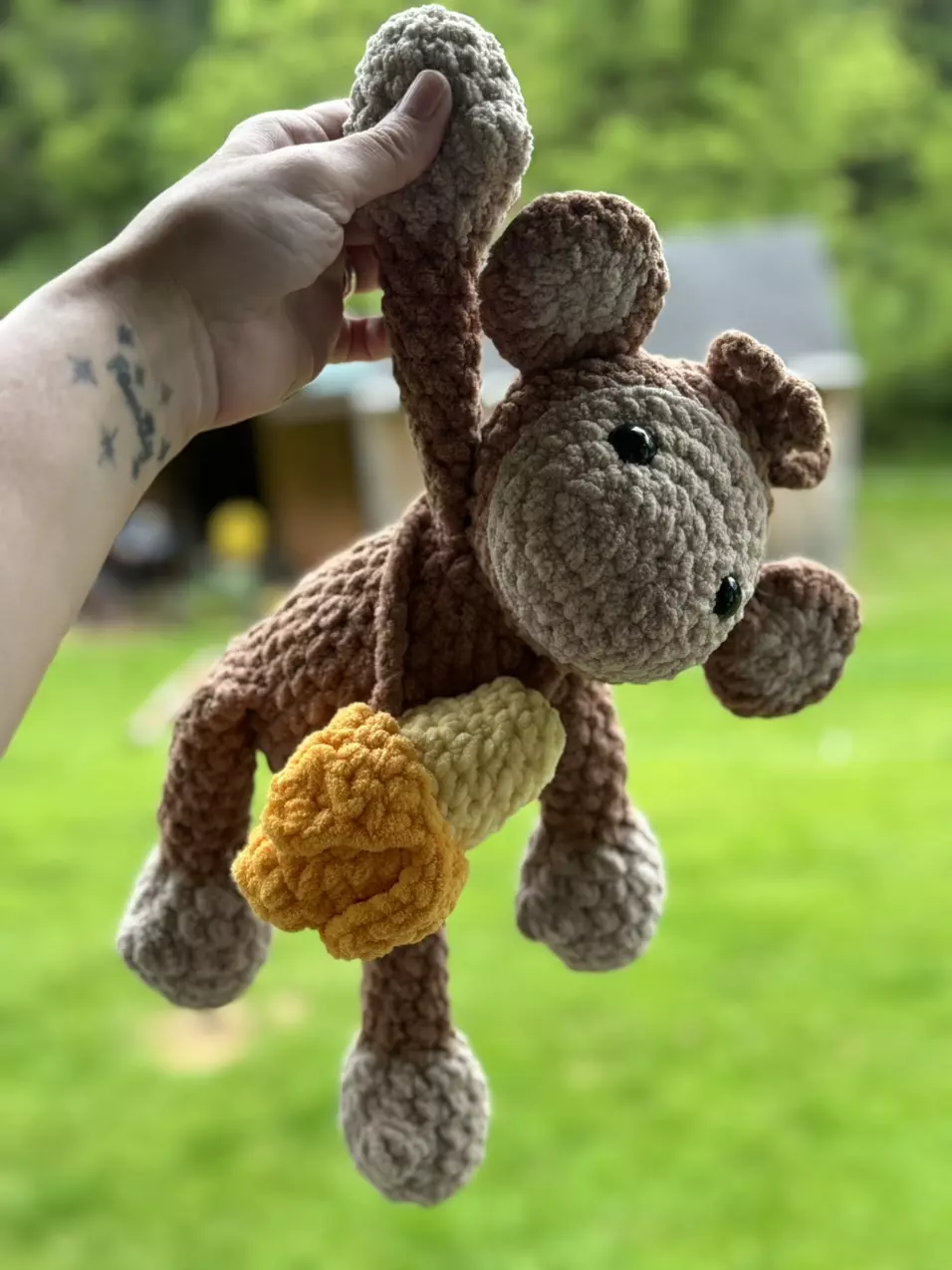 plant/Meet Marcel Senior-1