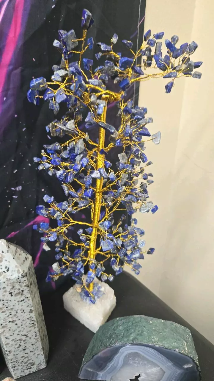 plant/Lapis lazule discounted-0