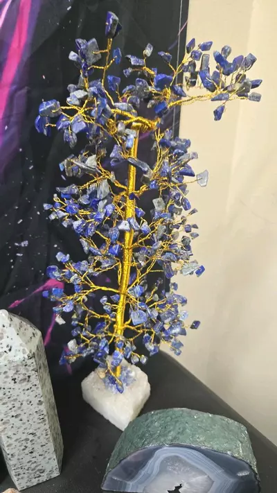 plant/Lapis lazule discounted-0-thumbnail