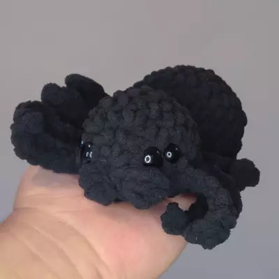 plant/Black Spider 🕷-0-thumbnail