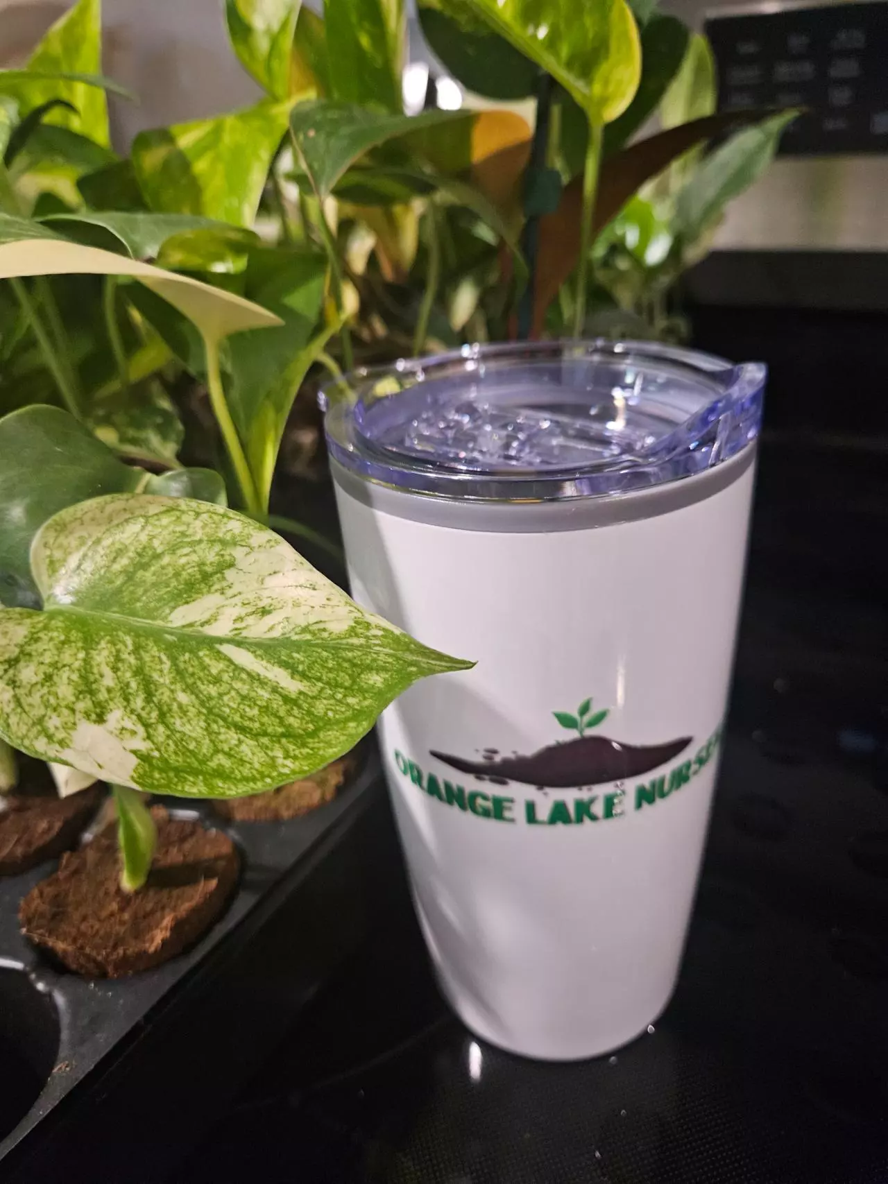 plant/Orange Lake Nursery Tumbler-1