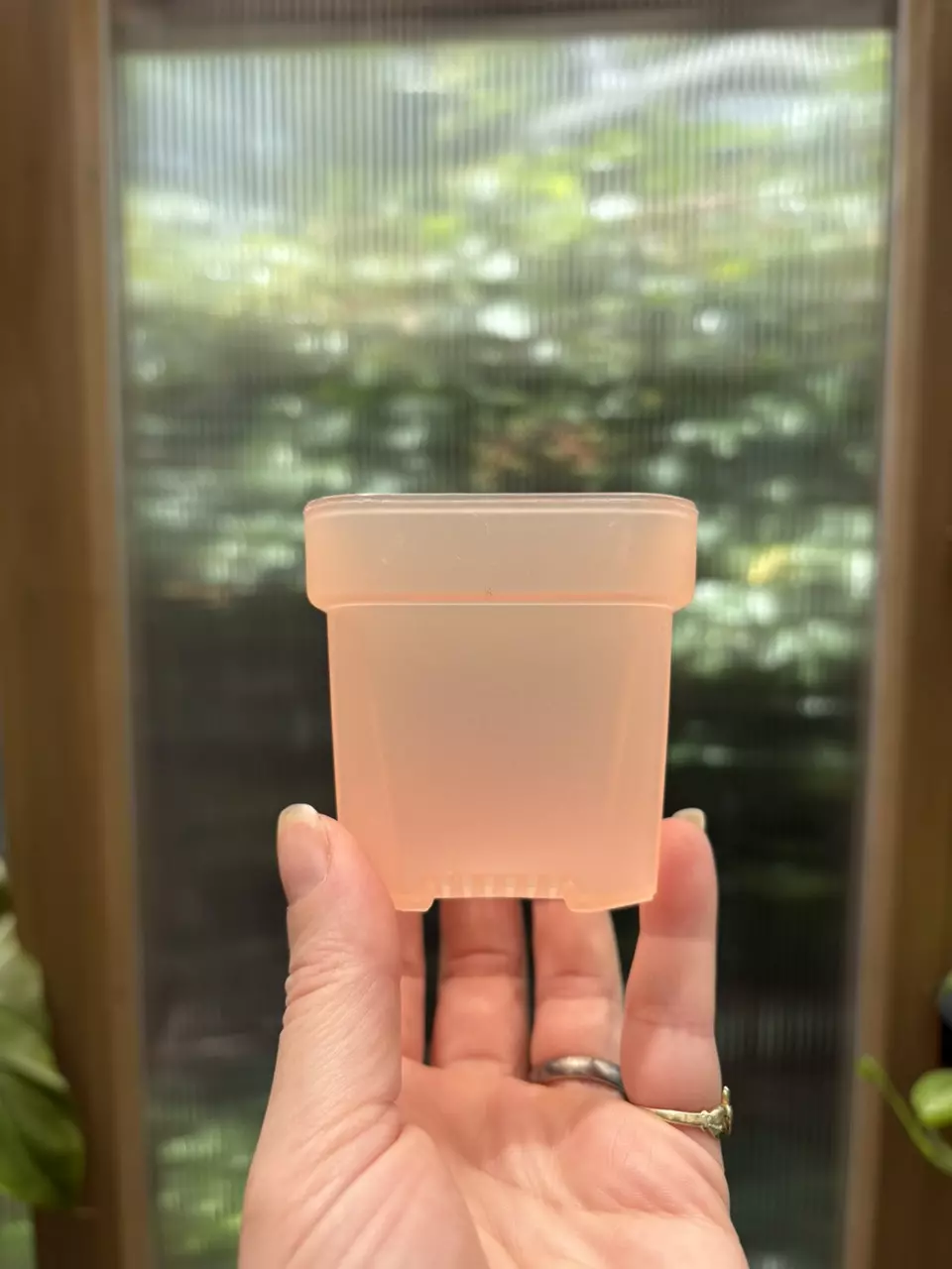 plant/2.5” Pink Mini Nursery Pot-0