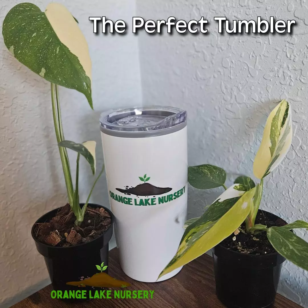 plant/Orange Lake Nursery Tumbler-0