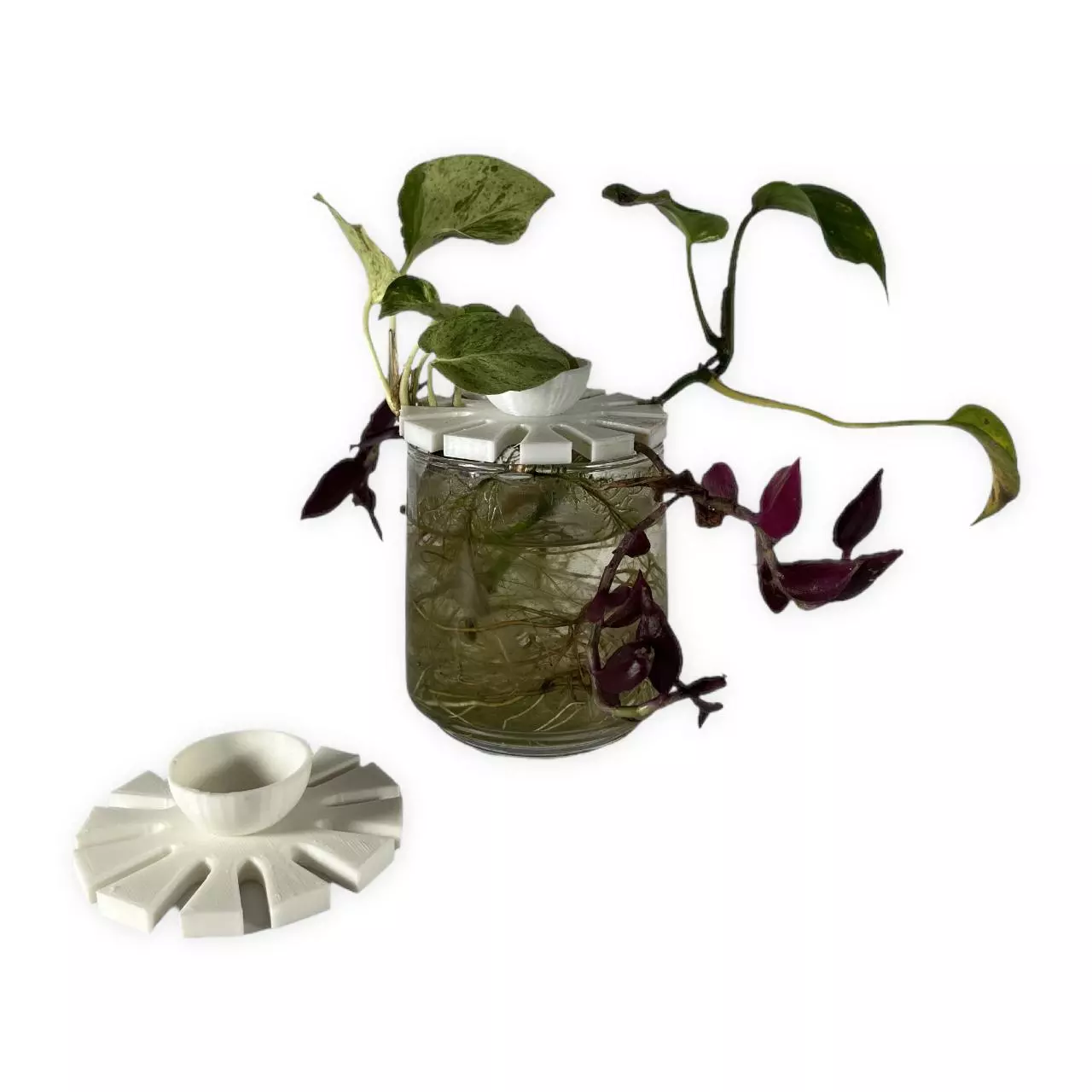 plant/Prop Top - 12 slot propagation topper-0