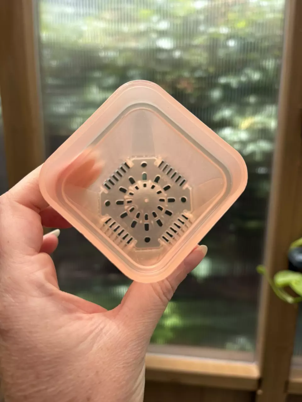 plant/2.5” Pink Mini Nursery Pot-1