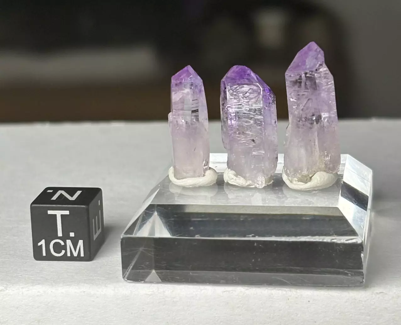 plant/Vera Cruz, Mexico amethyst points-1