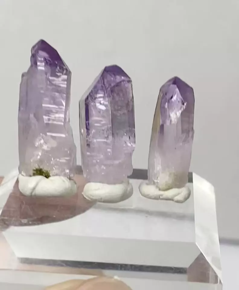 plant/Vera Cruz, Mexico amethyst points-2