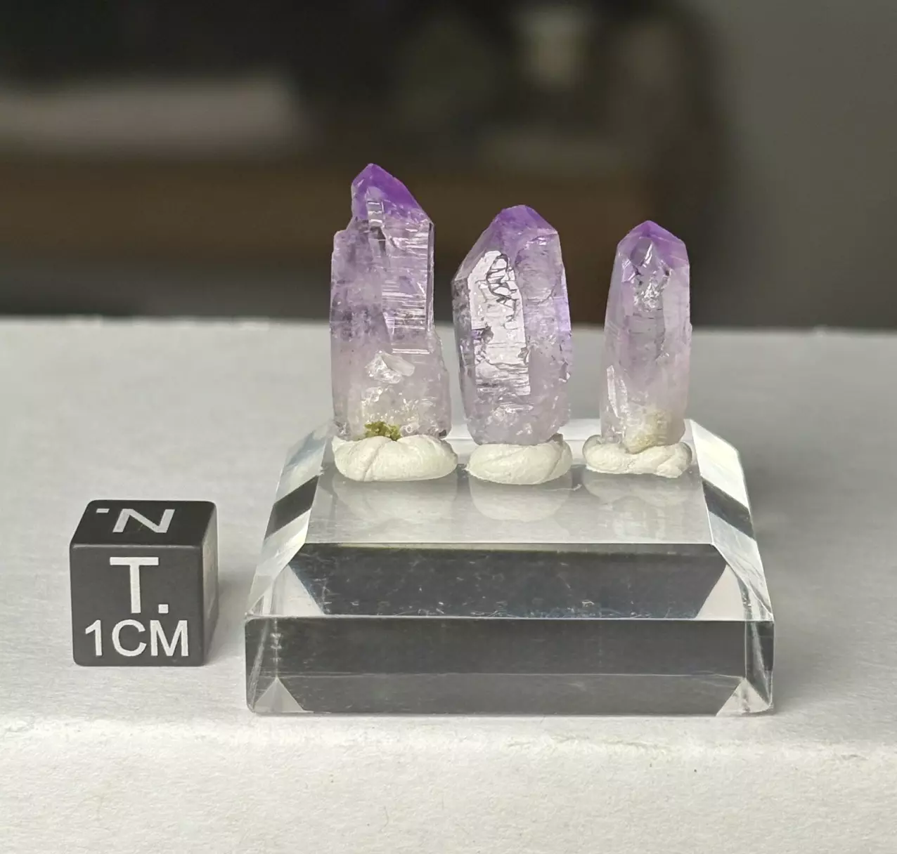 plant/Vera Cruz, Mexico amethyst points-0