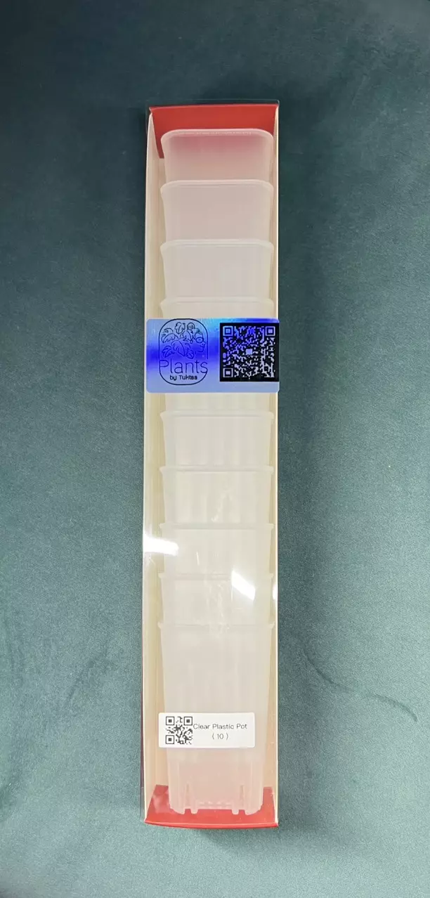 plant/1.95 Inch Clear Plastic Square Mini Deep pot ( 10pack )-0