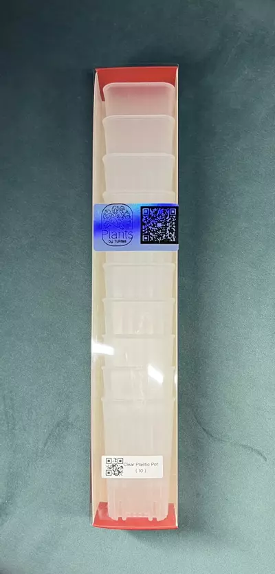plant/1.95 Inch Clear Plastic Square Mini Deep pot ( 10pack )-0-thumbnail