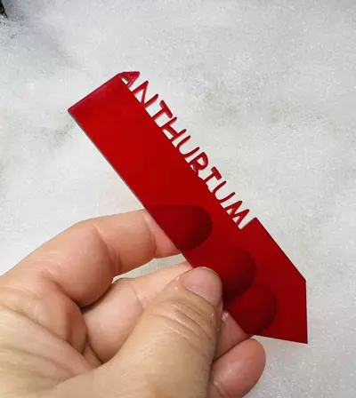 plant/Red Anthurium Plant Marker-0-thumbnail