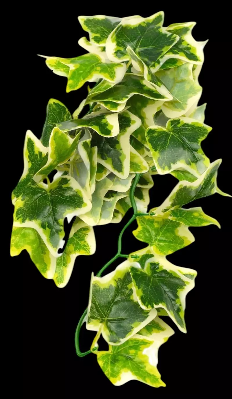 free_shipping/Variegated artificial vine for reptile enclosures-1