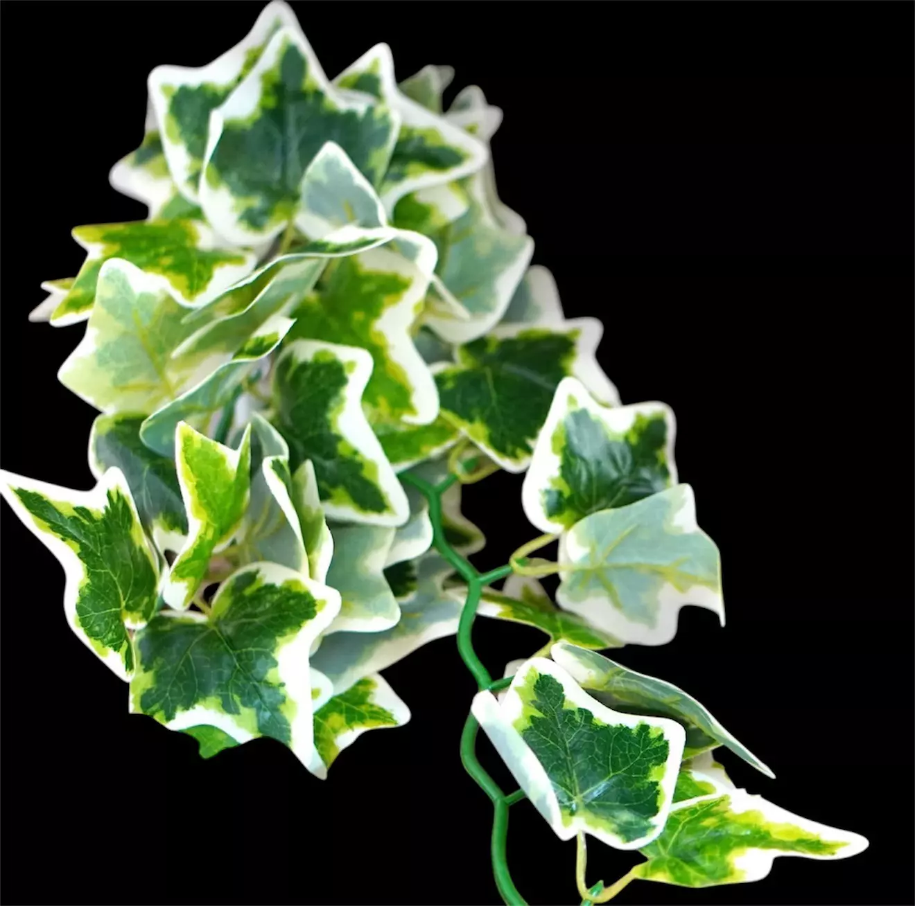 free_shipping/Variegated artificial vine for reptile enclosures-2